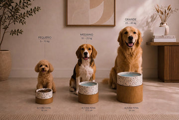 Platos Elevados LICA Pets