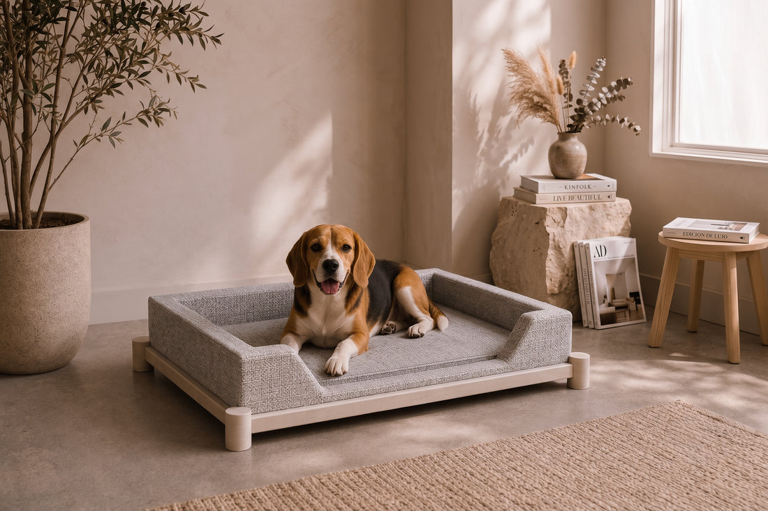 Cama Cuadrada LICA Pets